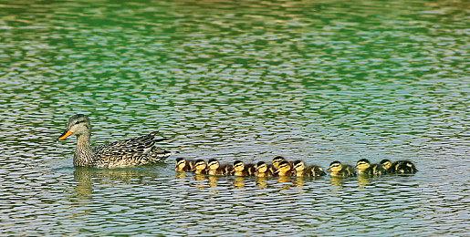 《心灵杀手2》幕后宣传片 10月27日发售